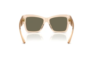 Bagside Dolce & Gabbana DG4493 (343203)