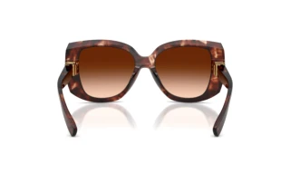 Bagside Dolce & Gabbana DG4495 (322274)