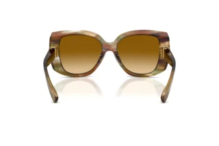 Bagside Dolce & Gabbana DG4495 (34462L)