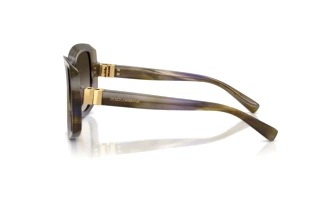 Sidevisning Dolce & Gabbana DG4495 (344713)