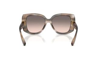 Bagside Dolce & Gabbana DG4495 (34493B)