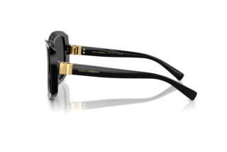 Sidevisning Dolce & Gabbana DG4495 (501/87)