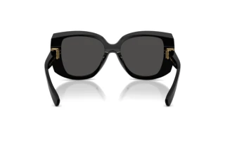 Bagside Dolce & Gabbana DG4495 (501/87)