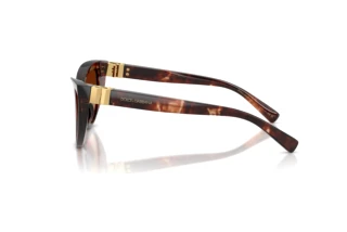 Sidevisning Dolce & Gabbana DG4497 (322274)