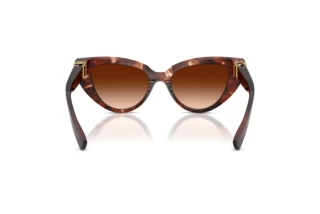 Bagside Dolce & Gabbana DG4497 (322274)