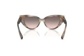 Bagside Dolce & Gabbana DG4497 (34493B)