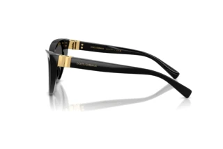 Sidevisning Dolce & Gabbana DG4497 (501/87)