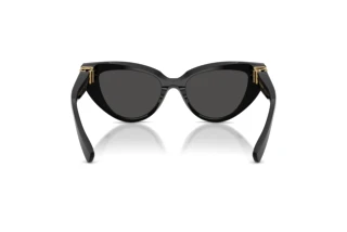 Bagside Dolce & Gabbana DG4497 (501/87)