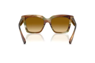 Bagside Dolce & Gabbana DG4498 (34462L)