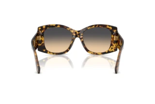 Bagside Dolce & Gabbana DG4501 (33302Q)