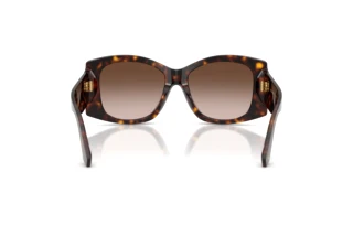 Bagside Dolce & Gabbana DG4501 (502/13)