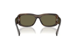 Bagside Dolce & Gabbana DG4503 (3200/3)