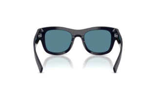 Bagside Dolce & Gabbana DG4509 (309480)