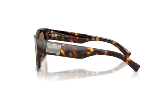 Sidevisning Dolce & Gabbana DG4509 (502/73)