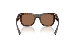 Bagside Dolce & Gabbana DG4509 (502/73)