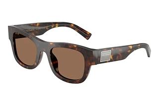 Dolce & Gabbana DG4509 502/73