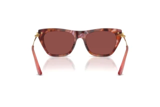 Bagside Dolce & Gabbana DG4511 (344475)