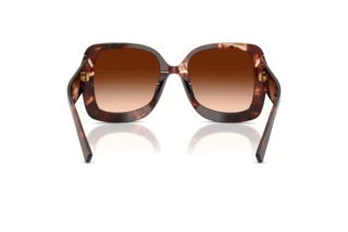 Bagside Dolce & Gabbana DG4513 (322274)