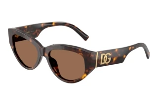 Forfra Dolce & Gabbana DG4514 (502/73)