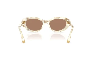 Bagside Dolce & Gabbana DG4519 (346173)
