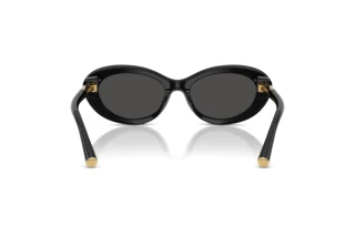 Bagside Dolce & Gabbana DG4519 (501/87)