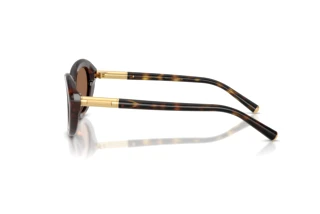 Sidevisning Dolce & Gabbana DG4519 (502/73)