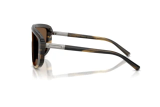 Sidevisning Dolce & Gabbana DG4520 (306373)