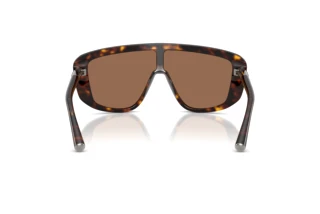 Bagside Dolce & Gabbana DG4520 (502/73)