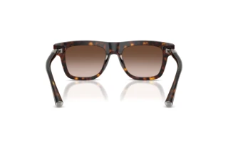 Bagside Dolce & Gabbana DG4521 (502/13)