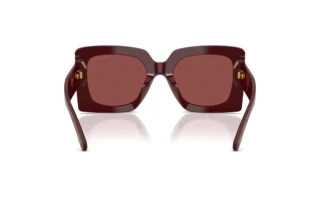 Bagside Dolce & Gabbana DG4525B (309175)