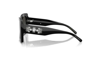 Sidevisning Dolce & Gabbana DG4525B (501/88)