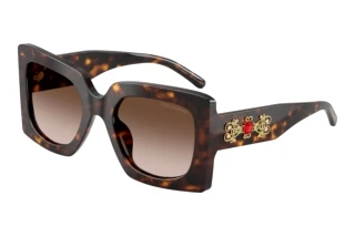 Forfra Dolce & Gabbana DG4525B (502/13)