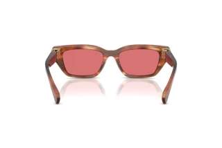 Bagside Dolce & Gabbana DG4532 (322175)