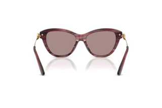Bagside Dolce & Gabbana DG4534 (3474LA)