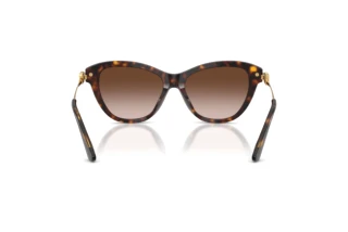 Bagside Dolce & Gabbana DG4534 (502/13)