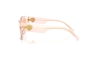 Sidevisning Dolce & Gabbana DG4536 (304173)