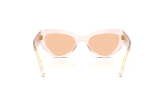 Bagside Dolce & Gabbana DG4536 (304173)