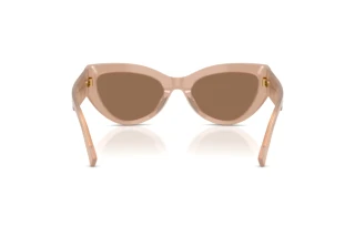 Bagside Dolce & Gabbana DG4536 (304273)