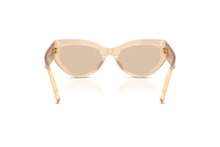 Bagside Dolce & Gabbana DG4536 (308993)