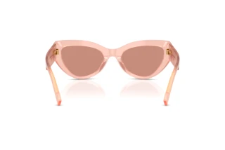 Bagside Dolce & Gabbana DG4536 (338496)