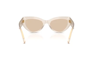 Bagside Dolce & Gabbana DG4536 (342093)