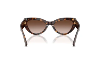 Bagside Dolce & Gabbana DG4536 (502/13)