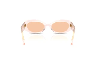 Bagside Dolce & Gabbana DG4537 (304173)