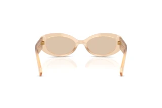 Bagside Dolce & Gabbana DG4537 (308993)