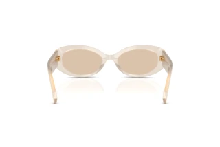 Bagside Dolce & Gabbana DG4537 (342093)