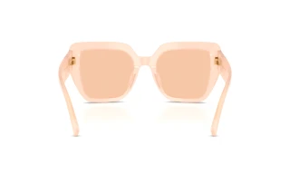 Bagside Dolce & Gabbana DG4538 (304173)