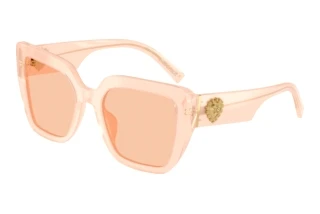 Forfra Dolce & Gabbana DG4538 (304173)