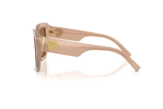 Sidevisning Dolce & Gabbana DG4538 (304273)