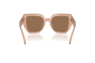 Bagside Dolce & Gabbana DG4538 (304273)