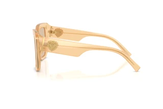 Sidevisning Dolce & Gabbana DG4538 (308993)